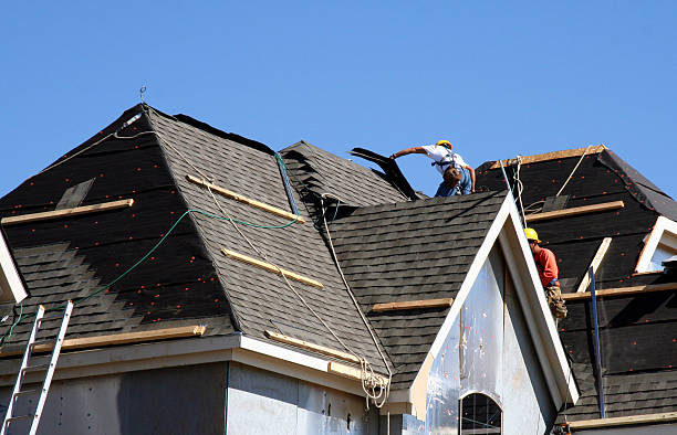 Roof Gutter Cleaning in Apple Mountain Lake, VA