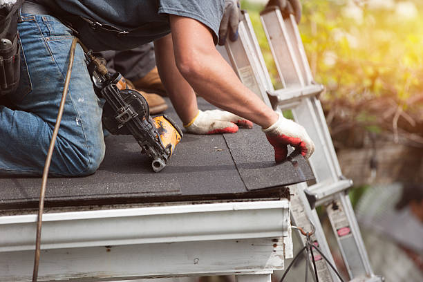Best Metal Roofing Contractor  in Apple Mountain Lake, VA