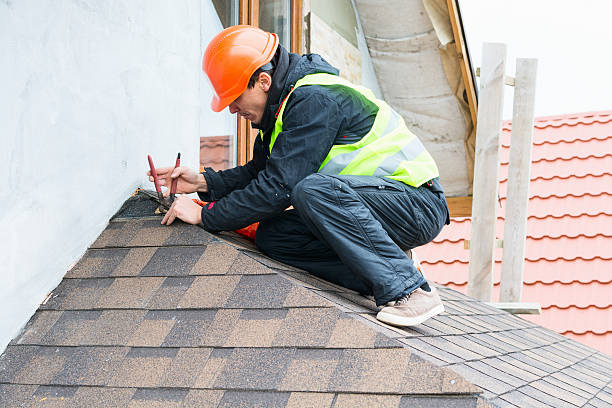 Best Roof Repair Services  in Apple Mountain Lake, VA