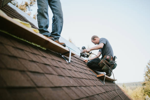 Best Best Roofing Contractors  in Apple Mountain Lake, VA